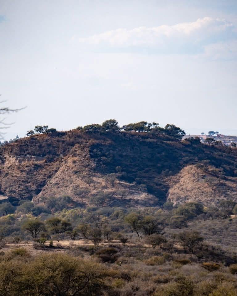 El General Miguel Hernández González