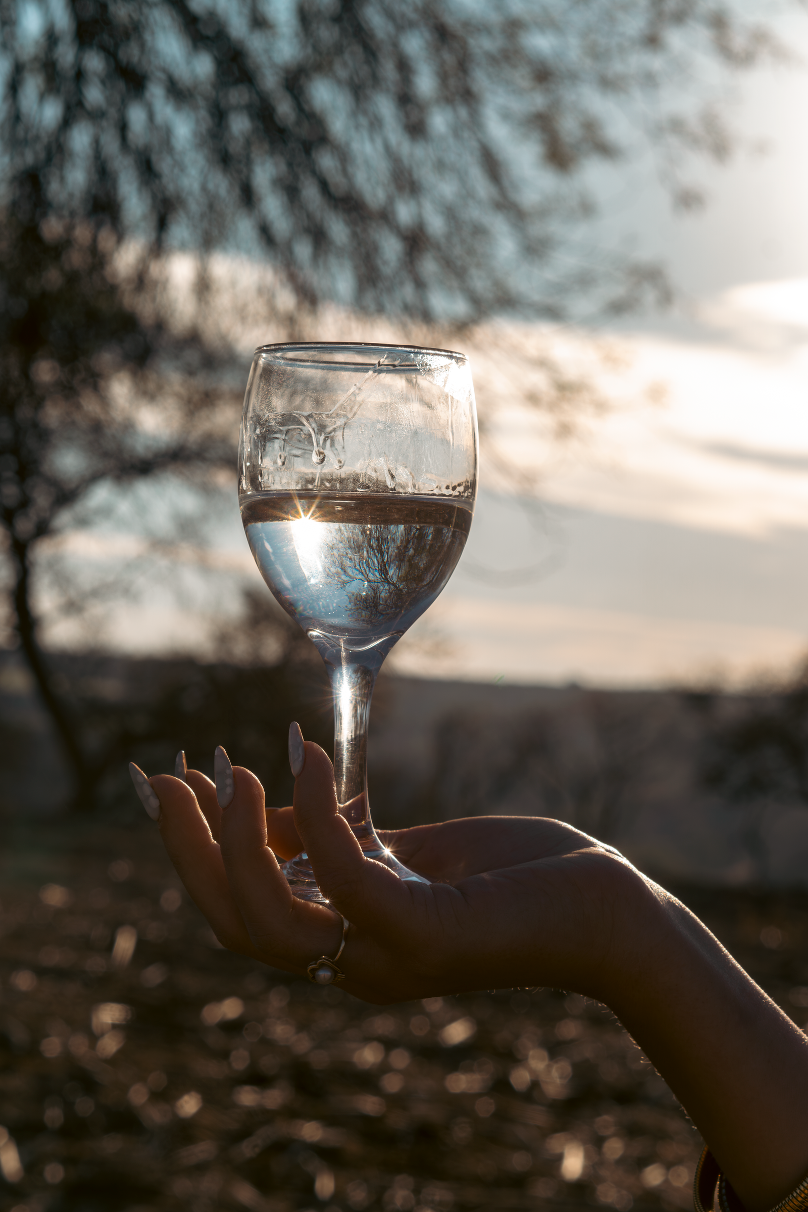 Las lágrimas del tequila: lo que realmente revelan en un destilado puro